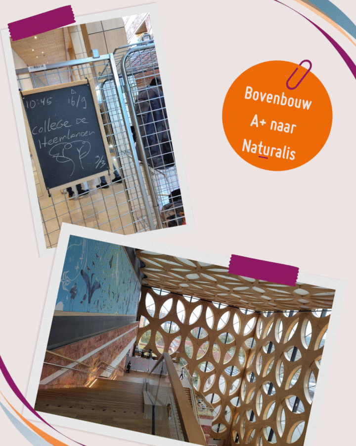 Bovenbouw Atheneum+ naar Naturalis