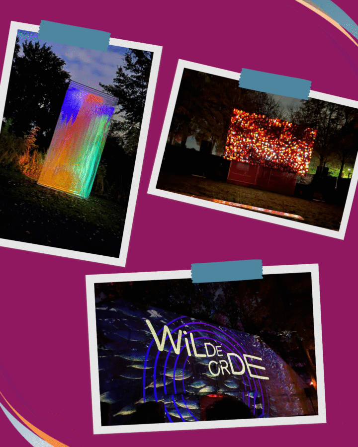 Kunstwerken van het Lichtkunstfestival in Houten