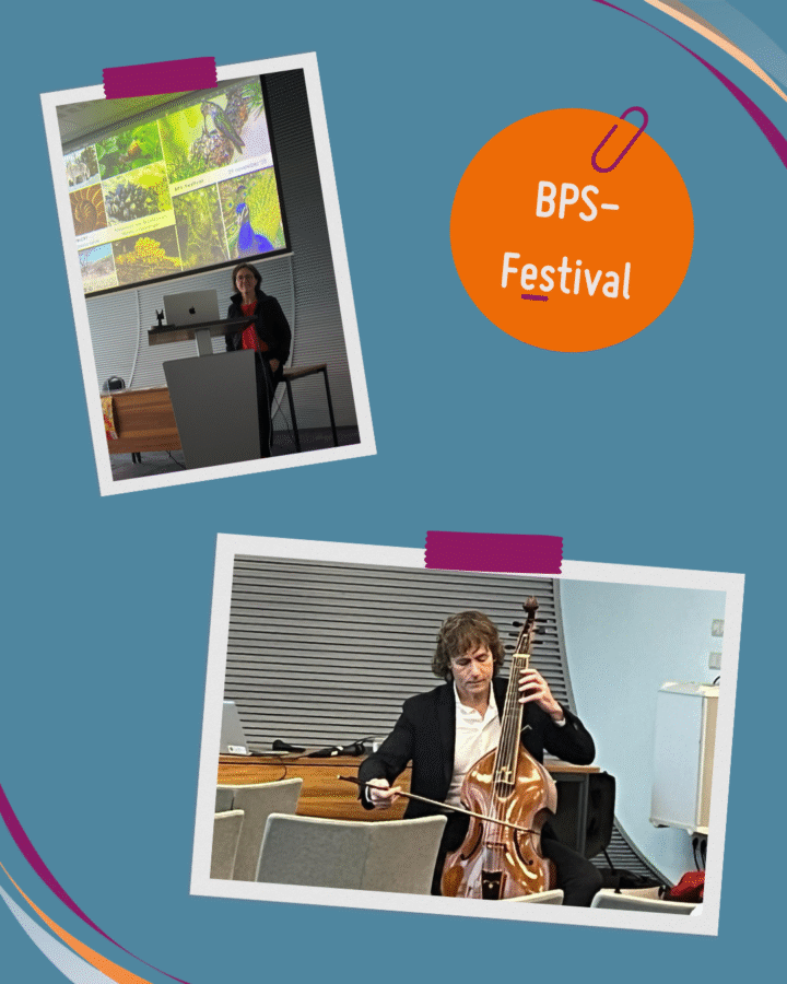 BPS Festival College de Heemlanden